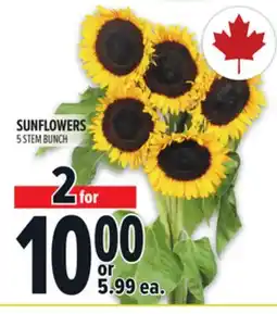 Metro SUNFLOWERS offer