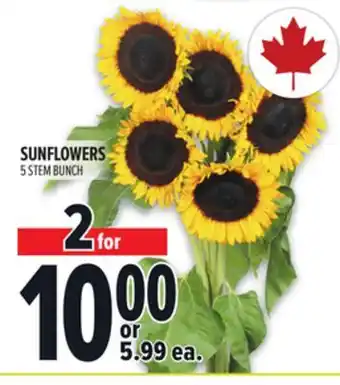 Metro SUNFLOWERS offer