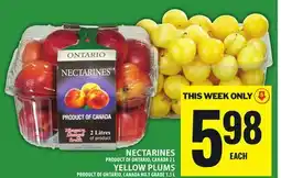 Food Basics NECTARINES AND YELLOW PLUMS offer