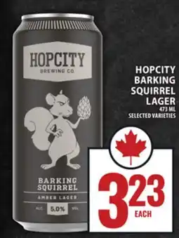 Food Basics HOPCITY BARKING SQUIRREL LAGER offer