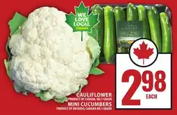 Food Basics CAULIFLOWER PRODUCT OF CANADA, NO.1 GRADE MINI CUCUMBERS PRODUCT OF ONTARIO, CANADA NO.1 GRADE offer