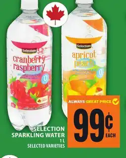 Food Basics SELECTION SPARKLING WATER offer