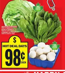 Food Basics WHITE MUSHROOMS, BUNCH SPINACH, ICEBERG LETTUCE offer