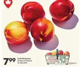 Longo's Fresh Nectarines offer