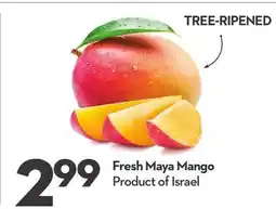 Longo's Fresh Maya Mango offer