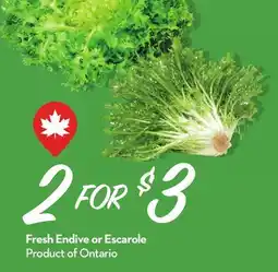 Longo's Fresh Endive or Escarole offer
