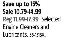 Canadian Tire Gunk Selected Engine Cleaners and Lubricants offer