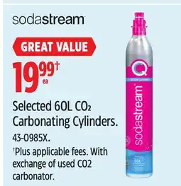 Canadian Tire Selected 60L CO2 Carbonating Cylinders offer