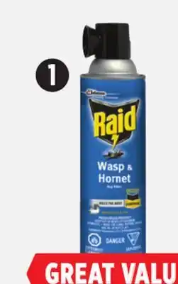 Canadian Tire Raid Wasp & Hornet Insect Killer Spray offer