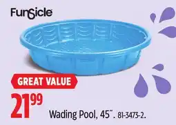 Canadian Tire Wading Pool, 45˝ offer