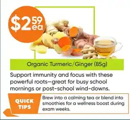 Healthy Planet Organic Turmeric/Ginger (85g) offer