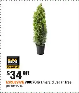 Home Depot EXCLUSIVE VIGORO Emerald Cedar Tree offer