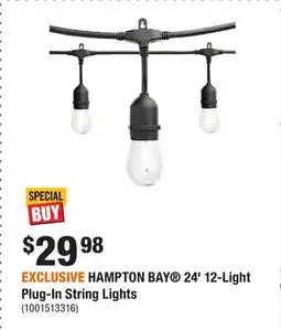 Home Depot EXCLUSIVE HAMPTON BAY 24' 12-Light Plug-In String Lights offer