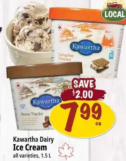 Farm Boy Kawartha Dairy Ice Cream offer