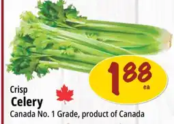 Farm Boy Crisp Celery offer
