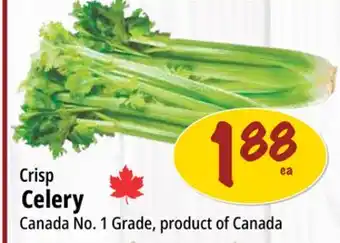 Farm Boy Crisp Celery offer