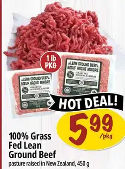 Farm Boy 100% Grass Fed Lean Ground Beef offer