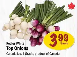 Farm Boy bunch Red or White Top Onions offer