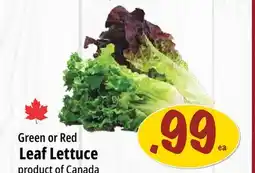 Farm Boy Green or Red Leaf Lettuce offer