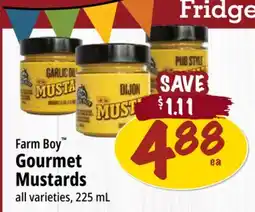Farm Boy Farm Boy Gourmet Mustards offer