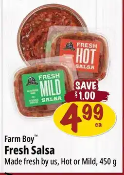 Farm Boy Farm Boy Fresh Salsa offer