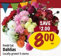 Farm Boy Fresh Cut Dahlias offer