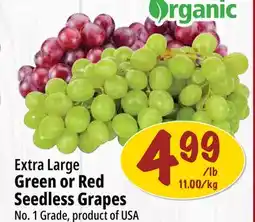 Farm Boy Extra Large Green or Red Seedless Grapes offer