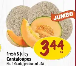 Farm Boy Fresh & Juicy Cantaloupes offer