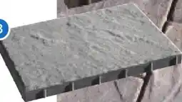 RONA 16 x 24 Saranak Patio Slabs offer