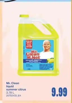 Wholesale Club MR. CLEAN LIQUID SUMMER CITRUS, 3.78 L offer