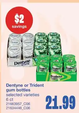Wholesale Club DENTYNE OR TRIDENT GUM BOTTLES, 6 CT offer