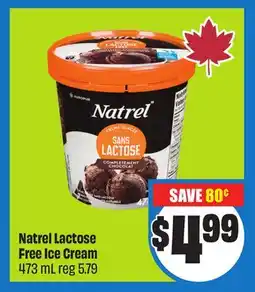 Chalo FreshCo Natrel Lactose Free Ice Cream 473 mL offer