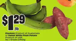 Chalo FreshCo Plantain Product of Guatemala or Sweet White Flesh Potato Product of USA No. 1 Grade 2.84/kg offer