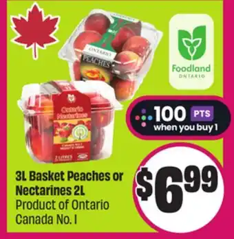 Chalo FreshCo 3L Basket Peaches or Nectarines 2L Product of Ontario Canada No. 1 offer