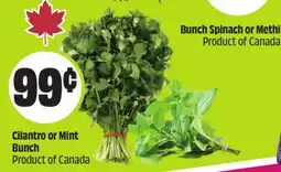 Chalo FreshCo Cilantro or Mint Bunch Product of Canada offer