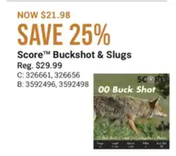 Cabela's Score Buckshot & Slugs offer