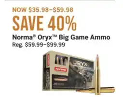 Cabela's Norma Oryx Big Game Ammo offer
