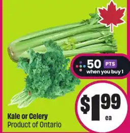 Chalo FreshCo Kale or Celery Product of Ontario offer