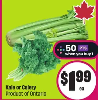 Chalo FreshCo Kale or Celery Product of Ontario offer