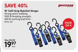 Home Hardware 10' Soft Grip Ratchet Straps offer