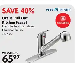 Home Hardware Oralie Pull Out Kitchen Faucet offer