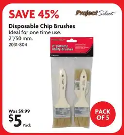 Home Hardware Disposable Chip Brushes offer