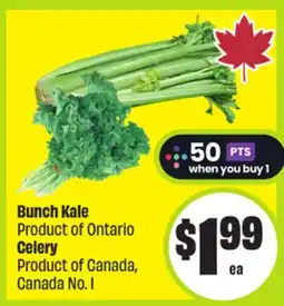 FreshCo Bunch Kale Product of Ontario Celery Product of Canada, Canada No. 1 offer