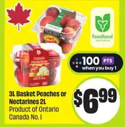 FreshCo 3 L Basket Peaches or Nectarine 2 L Product of Ontario Canada No.1 offer