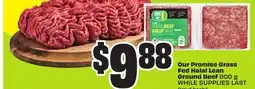 FreshCo Our Promise Grass Fed Halal Lean Ground Beef 900g offer