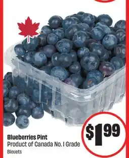 FreshCo Blueberries Pint Product of Canada No. 1 Grade offer