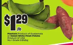 FreshCo Plantain Product of Guatemala or Sweet White Flesh Potato Product of USA No.1 Grade 2.84/kg offer