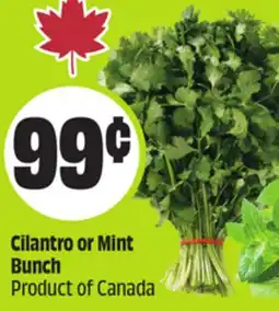 FreshCo Cilantro or Mint Bunch Product of Canada offer