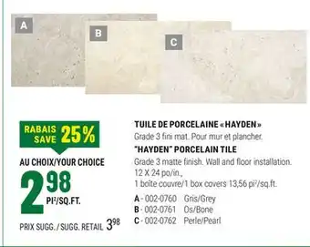 BMR TUILE DE PORCELAINE HAYDEN offer