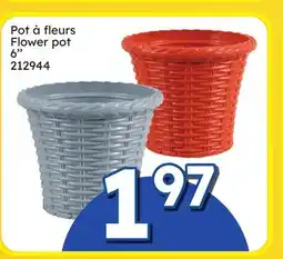 Rossy Flower pot offer